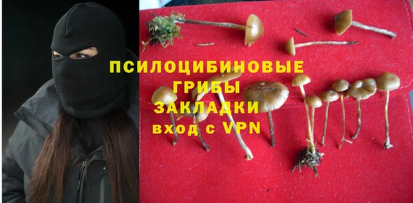apvp Алексеевка