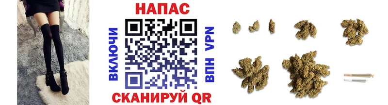 Купить где  Омск  Каннабис индика 